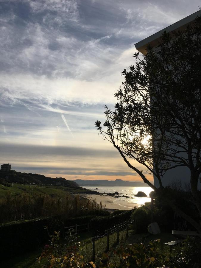 Petit Studio Terrasse Rez De Jardin Piscine Sur L'Ocean Leilighet Biarritz Eksteriør bilde